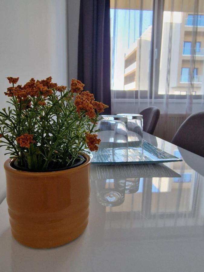 Vic Apartament Drobeta Turnu Severin Exterior foto
