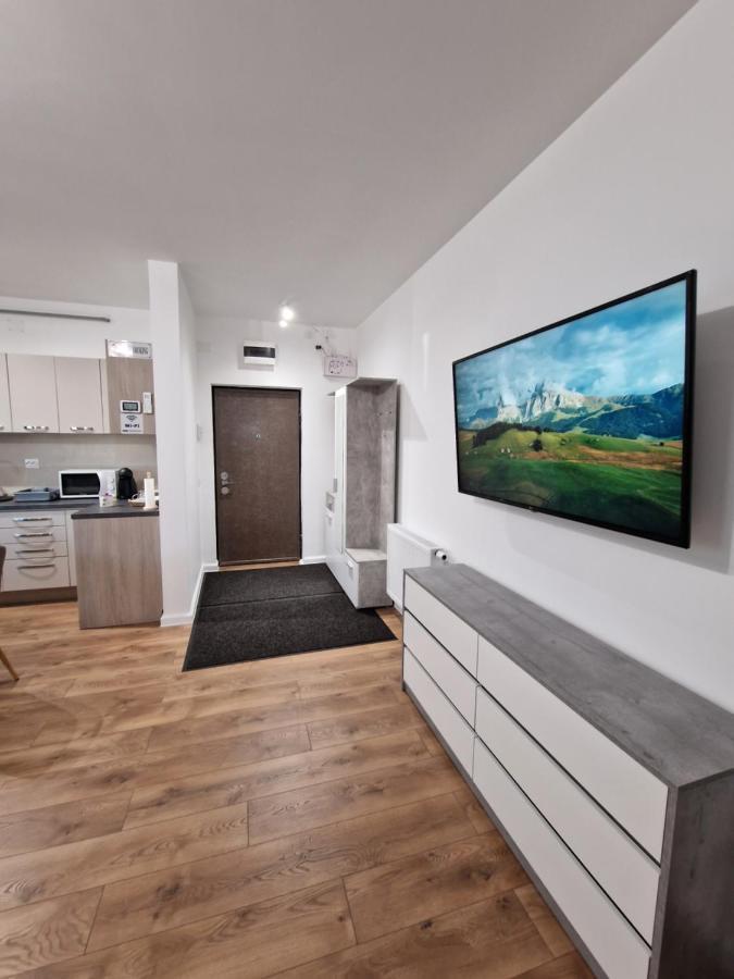 Vic Apartament Drobeta Turnu Severin Exterior foto